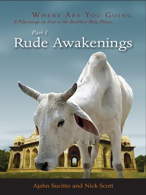 cover image of Rude Awakenings